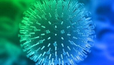 inimese papilloomiviiruse infektsiooni teed