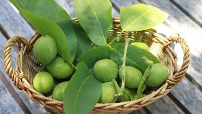 kreeka pähklid papilloomide eemaldamiseks